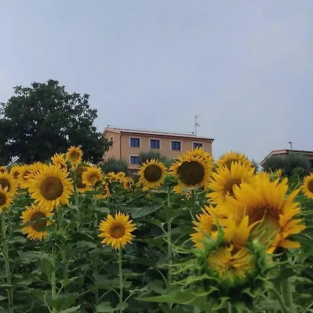 Annarella Apartment Carassai